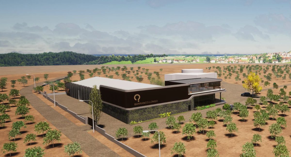 Adega do Barranco Longo