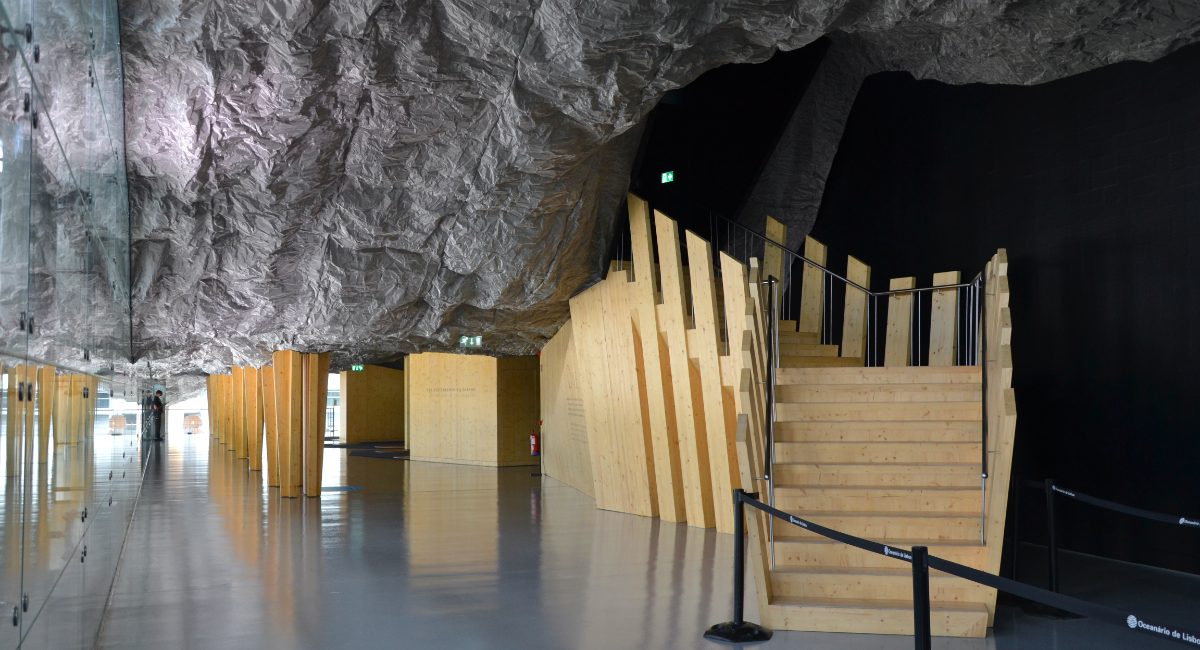 Exposição ONE - Oceanário de Lisboa