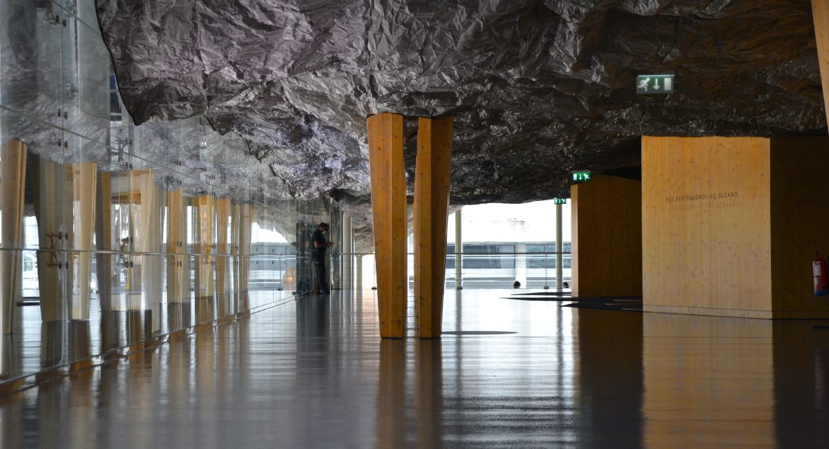 Exposição ONE - Oceanário de Lisboa