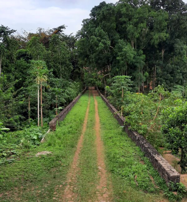 Paciência Eco Farm Resort