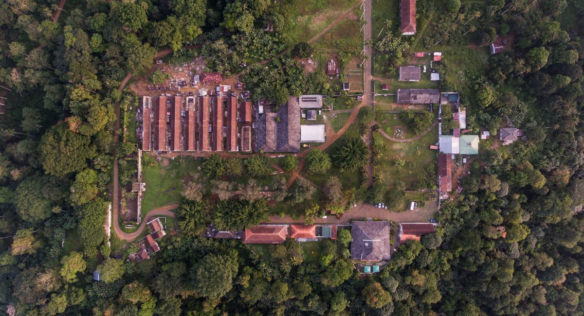 Reabilitação Roça Sundy