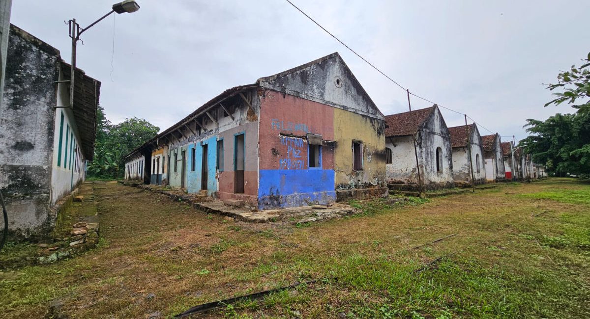 Reabilitação Roça Sundy