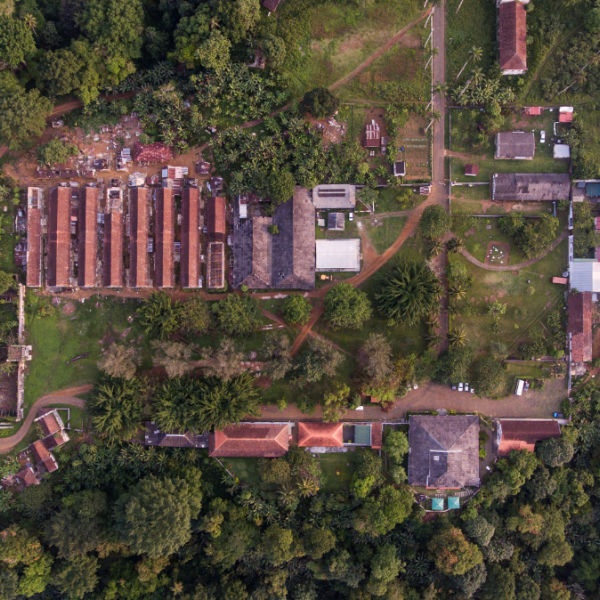 Reabilitação Roça Sundy